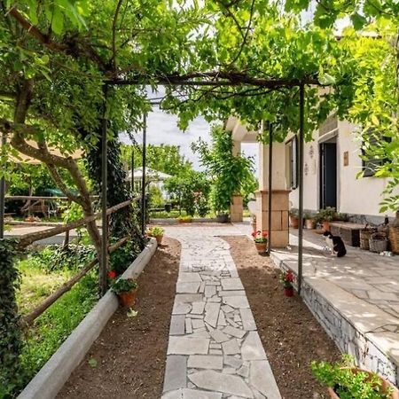 Etna, Salvia E Rosmarino Villa Maletto Eksteriør billede