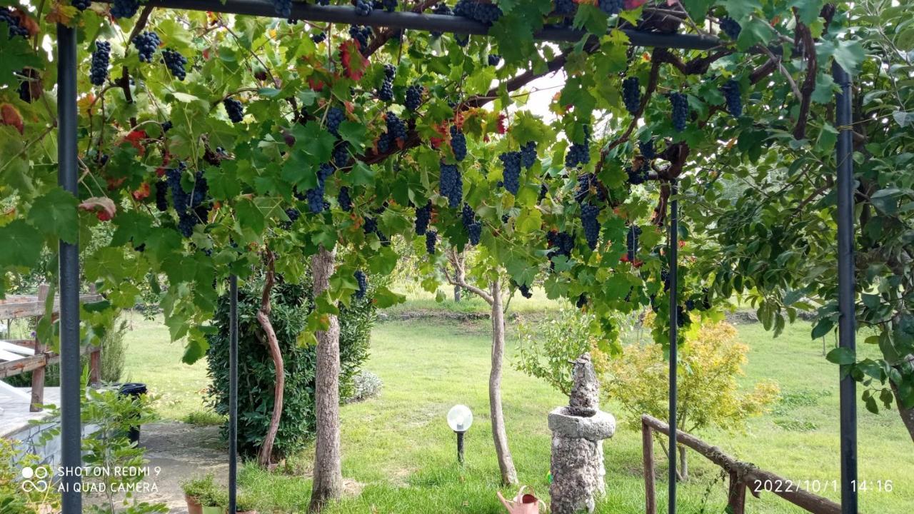 Etna, Salvia E Rosmarino Villa Maletto Eksteriør billede